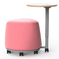 Active Seating/Poufs/Specialty